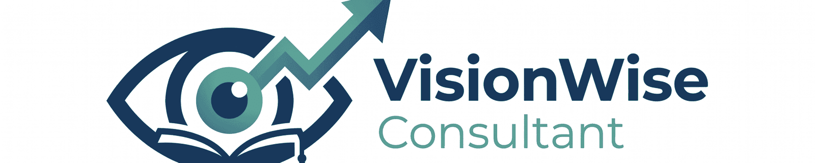 VisionWise Consultant